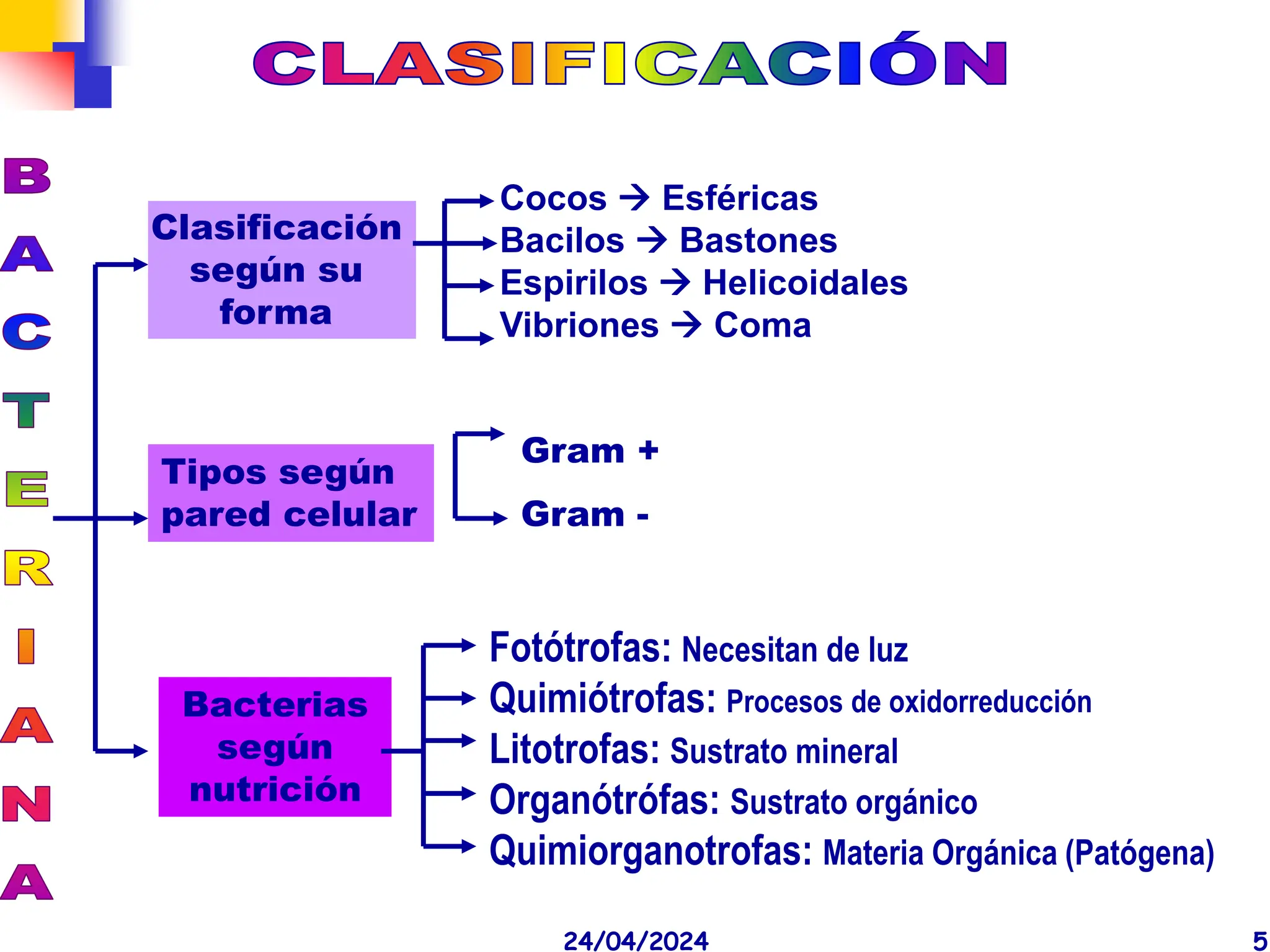 BACTERIAS pertemnecientes del reino monera , no poseen un nucleo definido,  su ADN se presenta desnudo y sin histonas | PPT