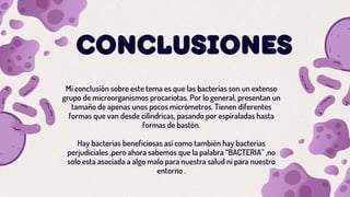 CONCLUSIONES
Mi conclusión sobre este tema es que las bacterias son un extenso
grupo de microorganismos procariotas. Por lo general, presentan un
tamaño de apenas unos pocos micrómetros. Tienen diferentes
formas que van desde cilíndricas, pasando por espiraladas hasta
formas de bastón.
Hay bacterias beneficiosas así como también hay bacterias
perjudiciales ,pero ahora sabemos que la palabra “BACTERIA” ,no
solo esta asociada a algo malo para nuestra salud ni para nuestro
entorno .
 