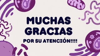 MUCHAS
GRACIAS
POR SU ATENCIÓN!!!!
 