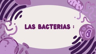 LAS BACTERIAS :
 
