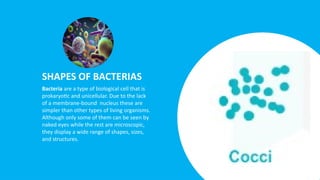 Rest Bacteria bacterias and shapes of bacterias presentation.pptx
