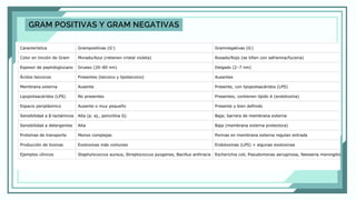 GRAM POSITIVAS Y GRAM NEGATIVAS
 
