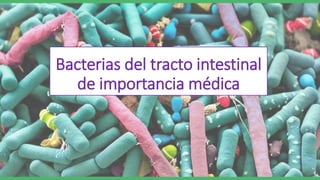 Bacterias del tracto intestinal
de importancia médica
 
