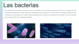 Las bacterias
 Son organismos procariotas unicelulares, que se encuentran en casi todas las partes de la Tierra. Son vita...