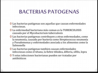 BACTERIAS PATOGENAS
0 Las bacterias patógenas son aquellas que causan enfermedades
infecciosas.
0 La enfermedad bacteriana más comun es la TUBERCULOSIS
causada por el Mycobacterium tuberculosis
0 Las bacterias patógenas contribuyen a otras enfermedades, como
la neumonía, causada por bacteria como Streptococcus neumonía
y Pseudomonas y enfermedades asociada a los alimentos como la
Salmonella
0 Las bacterias patógenas tambien causan enfermedades
infecciosas como el tétano, la fiebre tifoidea, difteria, sífilis, lepra
0 Y estas infecciones bacterianas pueden ser tratadas por
antibióticos
 