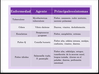 POR QUE ESTUDIAR LAS BACTERIAS