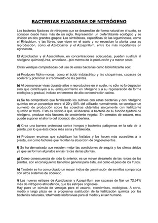 BACTERIAS FIJADORAS DE NITRÓGENO

Las bacterias fijadoras de nitrógeno que se desarrollan de forma natural en el suelo, se
conocen desde hace más de un siglo. Representan un biofertilizante ecológico y se
dividen en dos grandes grupos: Las simbióticas, especificas de las leguminosas, como
el Rhizobium, y las libres, que viven en el suelo y no necesitan la planta para su
reproducción, como el Azotobacter y el Azospirillum, entre los más importantes en
agricultura.

El Azotobacter y el Azospirillum, en concentraciones adecuadas, pueden sustituir al
nitrógeno químico(Urea, amoníaco...)sin merma de la producción y a menor coste.

Otras ventajas comprobadas del uso de estas bacterias como biofertilizante son:

a) Producen fitohormonas, como el ácido indolacètico y las citoquininas, capaces de
acelerar y potenciar el crecimiento de las plantas.

b) Al permanecer vivas durante años y reproducirse en el suelo, no sólo no lo degradan
sino que contribuyen a su enriquecimiento en nitrógeno y a su regeneración de forma
ecológica y gradual, incluso en terrenos de alta concentración salina.

c) Se ha comprobado que fertilizando los cultivos con estas bacterias y con nitrógeno
químico en un porcentaje entre el 20 y 50% del utilizado normalmente, se consigue un
aumento de producción sobre las cosechas obtenidas únicamente con fertilizante
químico al 100%. Esto es debido a que, al liberarse la bacteria de su función fijadora de
nitrógeno, produce más factores de crecimiento vegetal, En cereales de secano, esto
puede suponer el ahorro del abonado de cobertera.

d) Crea una barrera protectora contra hongos y bacterias patógenas en la raíz de la
planta, por lo que ésta crece más sana y fortalecida.

e) Producen enzimas que solubilizan los fosfatos y los hacen más accesibles a la
planta, así como factores que facilitan la absorción de oligoelementos.

f) Se ha demostrado que resisten mejor las condiciones de sequía y los climas áridos
ya que se forman alginatos en las raíces de las plantas.

g) Como consecuencia de todo lo anterior, es un mayor desarrollo de las raíces de las
plantas, con el consiguiente beneficio general para ésta, así como el peso de los frutos.

h) También se ha comprobado un mayor índice de germinación de semillas comparada
con otros sistemas de abonado.

i) Las nuevas estirpes de Azotobacter y Azospirillum son capaces de fijar un 72,64%
más de nitrógeno atmosférico, que las estirpes originales.
Hay pues un cúmulo de ventajas para el usuario, económicas, ecológicas, A corto,
medio y largo plazo en la progresiva sustitución de la fertilización química por las
bacterias naturales, totalmente inofensivas para el medio y el ser humano.
 