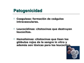 Patogenicidad Coagulasa: formación de coágulos intravasculares. Leucocidinas: citotoxinas que destruyen leucocitos.  Hemolisinas: citotoxinas que lisan los glóbulos rojos de la sangre in vitro y además son tóxicas para los leucocitos.   
