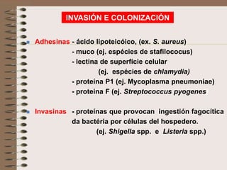 INVASIÓN E COLONIZACIÓN


   Adhesinas - ácido lipoteicóico, (ex. S. aureus)
              - muco (ej. espécies de stafilococus)
              - lectina de superfície celular
                       (ej. espécies de chlamydia)
              - proteína P1 (ej. Mycoplasma pneumoniae)
              - proteina F (ej. Streptococcus pyogenes)

   Invasinas - proteínas que provocan ingestión fagocítica
              da bactéria por células del hospedero.
                      (ej. Shigella spp. e Listeria spp.)
 