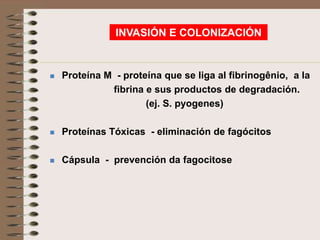 INVASIÓN E COLONIZACIÓN


   Proteína M - proteína que se liga al fibrinogênio, a la
              fibrina e sus productos de degradación.
                      (ej. S. pyogenes)

   Proteínas Tóxicas - eliminación de fagócitos

   Cápsula - prevención da fagocitose
 
