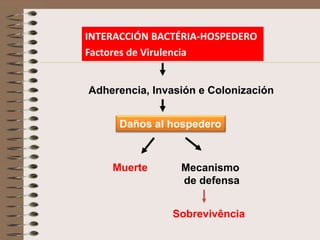 INTERACCIÓN BACTÉRIA-HOSPEDERO
Factores de Virulencia


Adherencia, Invasión e Colonización


     Daños al hospedero



    Muerte       Mecanismo
                 de defensa


               Sobrevivência
 