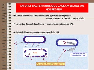 FATORES BACTERIANOS QUE CAUSAM DANOS AO
                        HOSPEDERO
• Enzimas hidrolíticas - hialuronidases e proteases degradam
                                    compontentes de la matriz extracelular

•Fragmentos de peptideoglicano - respuesta semeja nteao LPS.


• Ácido teicóico - respuesta semejante al do LPS.
 