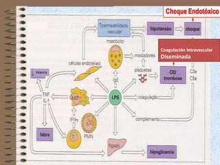 Coagulación Intravascular
         Diseminada

Hierro
 