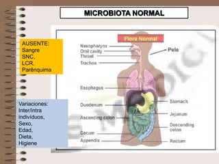 MICROBIOTA NORMAL



 AUSENTE:
 Sangre
 SNC,
 LCR,
 Parênquima




Variaciones:
Inter/intra
indivíduos,
Sexo,
Edad,
Dieta,
Higiene
 