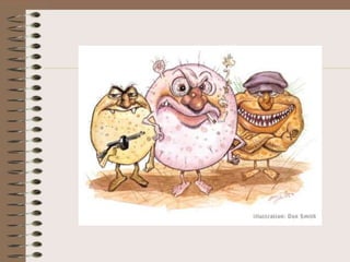 Bacterias  Patologia II - PPS