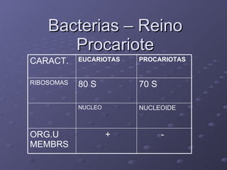 Bacterias – Reino Procariote - + ORG.U MEMBRS NUCLEOIDE NUCLEO 70 S 80 S RIBOSOMAS PROCARIOTAS EUCARIOTAS CARACT. 