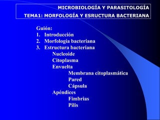 MICROBIOLOGÍA Y PARASITOLOGÍA
TEMA1: MORFOLOGÍA Y ESRUCTURA BACTERIANA

   Guión:
   1. Introducción
   2. Morfología bacteriana
   3. Estructura bacteriana
          Nucleoide
          Citoplasma
          Envuelta
                 Membrana citoplasmática
                 Pared
                 Cápsula
          Apéndices
                 Fimbrias
                 Pilis
 