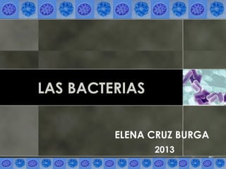LAS BACTERIAS
ELENA CRUZ BURGA
2013
 