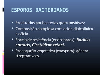 ESPOROS BACTERIANOS 
 Produzidos por bacterias gram positivas; 
 Composição complexa com acido dipicolínico 
e cálcio. 
 Forma de resistência (endosporos): Bacillus 
antracis, Clostridium tetani. 
 Propagação vegetativa (exosporo): gênero 
streptomyces. 
 