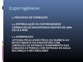 Esporogênese 
 1. PROCESSO DE FORMAÇÃO 
 1.1 ESPORULAÇÃO OU ESPOROGÊNESE 
 FORMACÃO DE ENDOSPOROS DENTRO DE UMA 
CÉLULA MÃE 
 1.2 GERMINAÇÃO 
 ATIVADA PELA LESÃO FÍSICA OU QUÍMICA AO 
REVESTIMENTO DO ENDOSPORO COM 
LIBERAÇÃO DE ENZIMAS E ROMPIMENTO DAS 
CAMADAS EXTERNAS COM ENTRADA DE ÁGUA-RECOMEÇA 
O METABOLISMO 
 