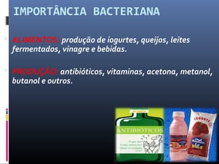IMPORTÂNCIA BACTERIANA 
 ALIMENTOS: produção de iogurtes, queijos, leites 
fermentados, vinagre e bebidas. 
 PRODUÇÃO: antibióticos, vitaminas, acetona, metanol, 
butanol e outros. 
 