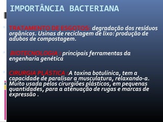 IMPORTÂNCIA BACTERIANA 
 TRATAMENTO DE ESGOTOS: degradação dos resíduos 
orgânicos. Usinas de reciclagem de lixo: produção de 
adubos de compostagem. 
 BIOTECNOLOGIA : principais ferramentas da 
engenharia genética 
 CIRURGIA PLÁSTICA :A toxina botulínica, tem a 
capacidade de paralisar a musculatura, relaxando-a. 
Muito usada pelos cirurgiões plásticos, em pequenas 
quantidades, para a atenuação de rugas e marcas de 
expressão . 
 