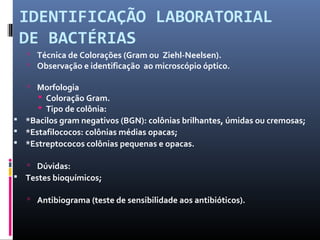 IDENTIFICAÇÃO LABORATORIAL 
DE BACTÉRIAS 
 Técnica de Colorações (Gram ou Ziehl-Neelsen). 
 Observação e identificação ao microscópio óptico. 
 Morfologia 
 Coloração Gram. 
 Tipo de colônia: 
 *Bacilos gram negativos (BGN): colônias brilhantes, úmidas ou cremosas; 
 *Estafilococos: colônias médias opacas; 
 *Estreptococos colônias pequenas e opacas. 
 Dúvidas: 
 Testes bioquímicos; 
 Antibiograma (teste de sensibilidade aos antibióticos). 
 