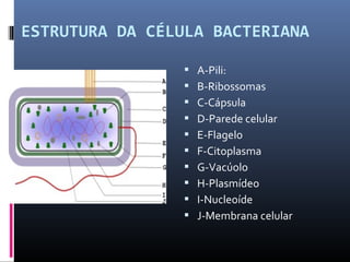 ESTRUTURA DA CÉLULA BACTERIANA 
 A-Pili: 
 B-Ribossomas 
 C-Cápsula 
 D-Parede celular 
 E-Flagelo 
 F-Citoplasma 
 G-Vacúolo 
 H-Plasmídeo 
 I-Nucleoíde 
 J-Membrana celular 
 