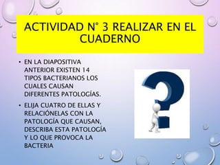 ACTIVIDAD N° 3 REALIZAR EN EL
CUADERNO
• EN LA DIAPOSITIVA
ANTERIOR EXISTEN 14
TIPOS BACTERIANOS LOS
CUALES CAUSAN
DIFERENTES PATOLOGÍAS.
• ELIJA CUATRO DE ELLAS Y
RELACIÓNELAS CON LA
PATOLOGÍA QUE CAUSAN,
DESCRIBA ESTA PATOLOGÍA
Y LO QUE PROVOCA LA
BACTERIA
 