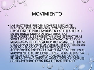 MOVIMIENTO
• LAS BACTERIAS PUEDEN MOVERSE MEDIANTE
FLAGELOS, DESLIZAMIENTOS, CONTRACCIONES
(TWITCHING) O POR CAMBIOS EN LA FLOTABILIDAD.
EN UN ÚNICO GRUPO DE BACTERIAS, LAS
ESPIROQUETAS, SE PRESENTAN UNAS ESTRUCTURAS
SIMILARES A FLAGELOS, LOCALIZADAS ENTRE DOS
MEMBRANAS EN EL ESPACIO PERIPLASMÁTICO, QUE SE
DENOMINAN FILAMENTOS AXIALES. ESTOS TIENEN UN
CUERPO HELICOIDAL DISTINTIVO QUE GIRA
ALREDEDOR MIENTRAS LA BACTERIA SE MUEVE. EN EL
MOVIMIENTO DE TIPO TWITCHING, LA BACTERIA USA
SU PILUS DE TIPO IV COMO GANCHO DE ATAQUE,
PRIMERO EXTENDIÉNDOLO, ANCLÁNDOLO Y DESPUÉS
CONTRAYÉNDOLO CON UNA FUERZA NOTABLE
 
