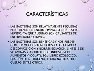 CARACTERÍSTICAS
• LAS BACTERIAS SON RELATIVAMENTE PEQUEÑAS,
PERO TIENEN UN ENORME IMPACTO EN NUESTRO
MUNDO, YA QUE ALGUNAS SON CAUSANTES DE
ENFERMEDADES GRAVES.
• LAS BACTERIAS SON BENÉFICAS Y NOS PUEDEN
OFRECER MUCHOS BENEFICIOS TALES COMO LA
DESCOMPOSICIÓN Y BIORREMEDIACIÓN, SÍNTESIS DE
VITAMINAS Y ANTIBIÓTICOS, INDUSTRIA DE
ALIMENTOS (YOGURT), EQUILIBRIO ECOLÓGICO,
FIJACIÓN DE NITRÓGENO, FLORA NATURAL DEL
CUERPO ENTRE OTROS.
 