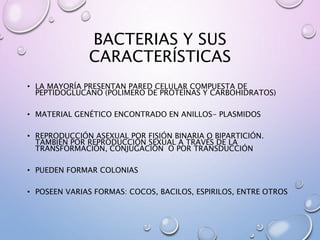 BACTERIAS Y SUS
CARACTERÍSTICAS
• LA MAYORÍA PRESENTAN PARED CELULAR COMPUESTA DE
PEPTIDOGLUCANO (POLIMERO DE PROTEÍNAS Y CARBOHIDRATOS)
• MATERIAL GENÉTICO ENCONTRADO EN ANILLOS- PLASMIDOS
• REPRODUCCIÓN ASEXUAL POR FISIÓN BINARIA O BIPARTICIÓN.
TAMBIÉN POR REPRODUCCIÓN SEXUAL A TRAVÉS DE LA
TRANSFORMACIÓN, CONJUGACIÓN O POR TRANSDUCCIÓN
• PUEDEN FORMAR COLONIAS
• POSEEN VARIAS FORMAS: COCOS, BACILOS, ESPIRILOS, ENTRE OTROS
 