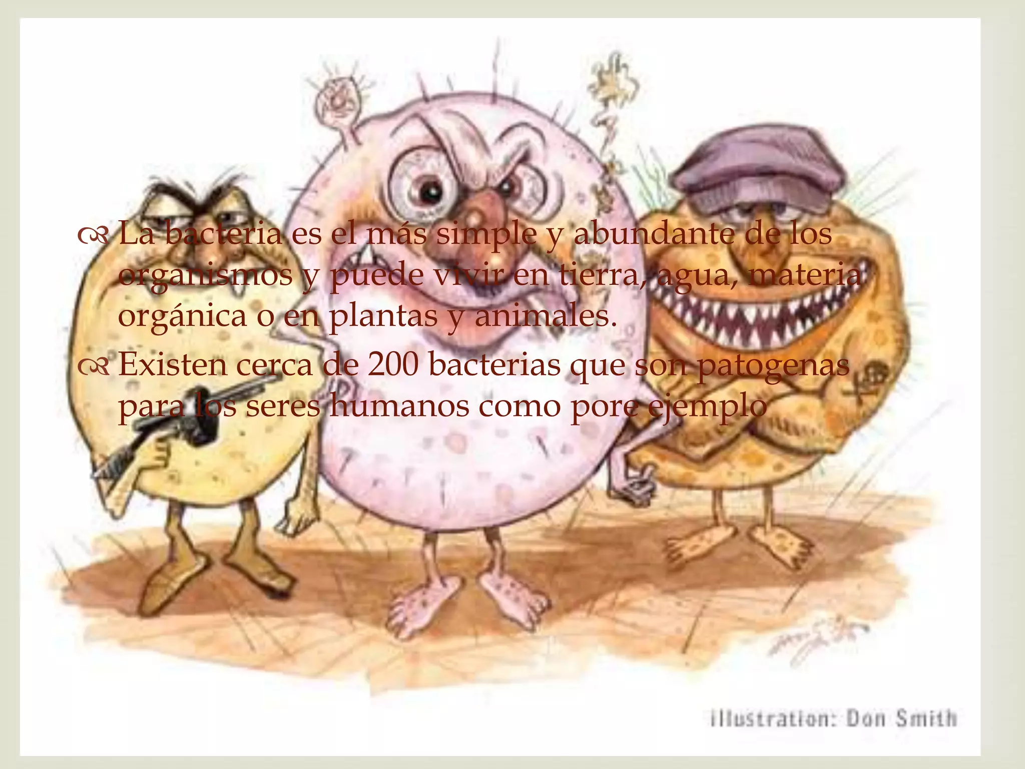 
 La bacteria es el más simple y abundante de los
  organismos y puede vivir en tierra, agua, materia
  orgánica o en plantas y animales.
 Existen cerca de 200 bacterias que son patogenas
  para los seres humanos como pore ejemplo
 