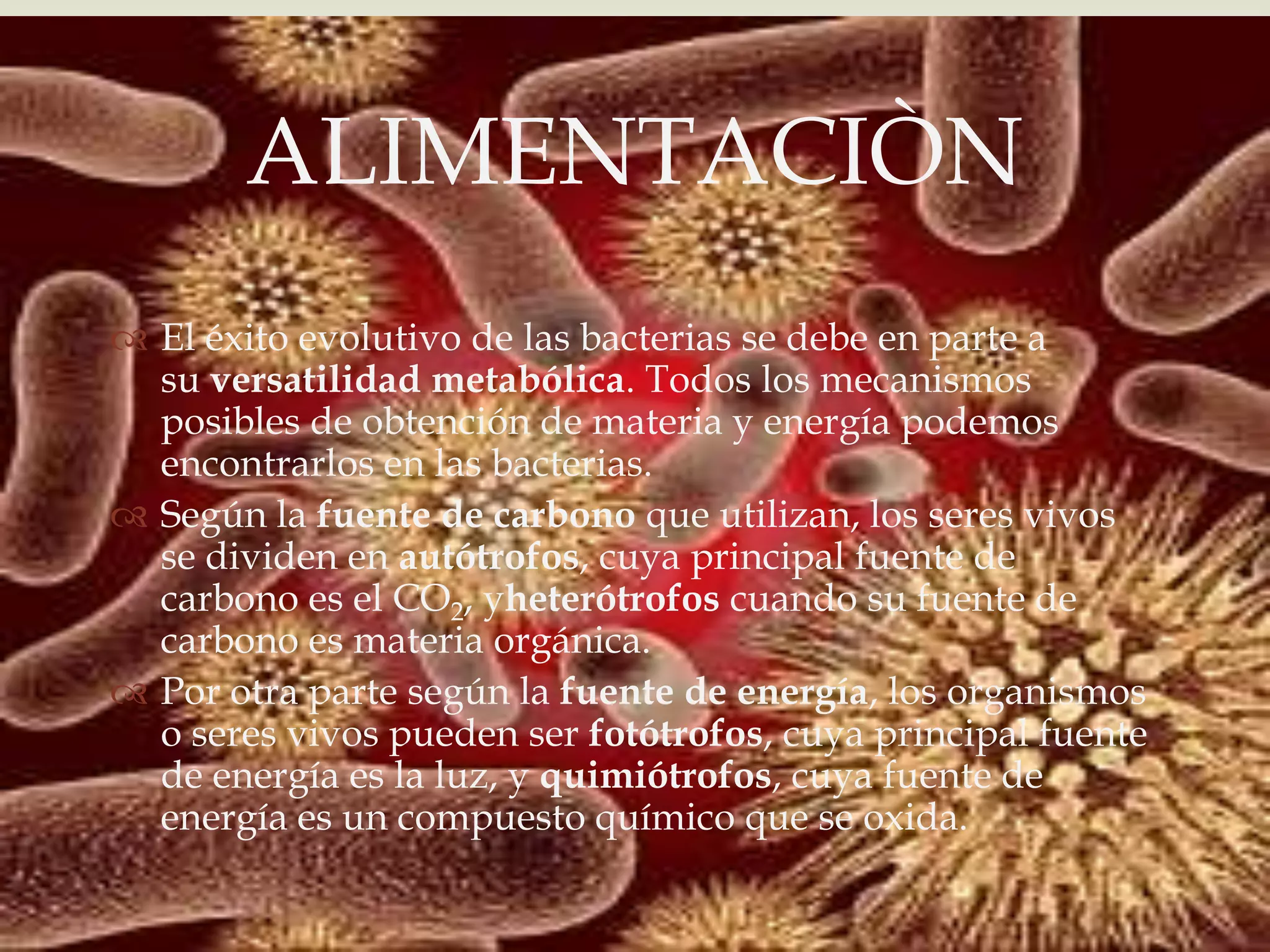 ALIMENTACIÒN
            
 El éxito evolutivo de las bacterias se debe en parte a
  su versatilidad metabólica. Todos los mecanismos
  posibles de obtención de materia y energía podemos
  encontrarlos en las bacterias.
 Según la fuente de carbono que utilizan, los seres vivos
  se dividen en autótrofos, cuya principal fuente de
  carbono es el CO2, yheterótrofos cuando su fuente de
  carbono es materia orgánica.
 Por otra parte según la fuente de energía, los organismos
  o seres vivos pueden ser fotótrofos, cuya principal fuente
  de energía es la luz, y quimiótrofos, cuya fuente de
  energía es un compuesto químico que se oxida.
 