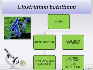 Clostridium botulinum

                      BACILO




                               ANAEROBIO
      GRAM POSITIVO
                                ESTRICTO




                                 AGENTE
      NUTRICIONALES            ETIOLÓGICO
        EXIGENTES                  DEL
                               BOTULISMO
 