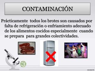 CONTAMINACIÓN
Prácticamente todos los brotes son causados por
  falta de refrigeración o enfriamiento adecuado
  de los alimentos cocidos especialmente cuando
  se prepara para grandes colectividades.
 