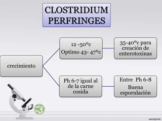 CLOSTRIDIUM
               PERFRINGES

                    12 -50ºc       35-40ºc para
                                    creación de
                Optimo 43- 47ºc    enterotoxinas

crecimiento

                 Ph 6-7 igual al   Entre Ph 6-8
                  de la carne         Buena
                     cosida        esporulación
 