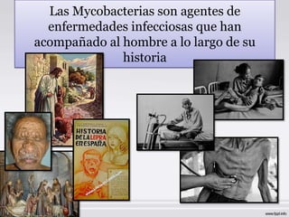 Las Mycobacterias son agentes de
  enfermedades infecciosas que han
acompañado al hombre a lo largo de su
              historia
 