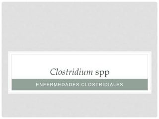 ENFERMEDADES CLOSTRIDIALES
Clostridium spp
 