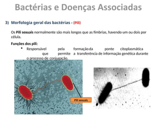 3) Morfologia geral das bactérias - (Pili)
Os Pili sexuais normalmente são mais longos que as fímbrias, havendo um ou dois por
célula.
Funções dos pili:
 Responsável pela formaçãoda ponte citoplasmática
que permite a transferência de informação genética durante
o processo de conjugação.
Pili sexuais
 