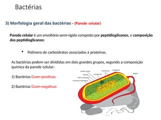 3) Morfologia geral das bactérias - (Parede celular)
Parede celular é um envoltório semi-rígido composto por peptídioglicanos, e composição
dos peptídioglicanos:
 Polímero de carboidratos associados à proteínas.
As bactérias podem ser divididas em dois grandes grupos, segundo a composição
química da parede celular:
1) Bactérias Gram-positivas
2) Bactérias Gram-negativas
Bactérias
 