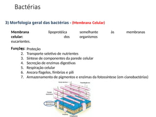 3) Morfologia geral das bactérias - (Membrana Celular)
lipoprotéica semelhante às membranas
dos organismos
Membrana
celular:
eucariontes.
Funções:
1. Proteção
2. Transporte seletivo de nutrientes
3. Síntese de componentes da parede celular
4. Secreção de enzimas digestivas
5. Respiração celular
6. Ancora flagelos, fímbrias e pili
7. Armazenamento de pigmentos e enzimas da fotossíntese (em cianobactérias)
Bactérias
 