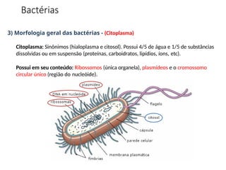 3) Morfologia geral das bactérias - (Citoplasma)
Citoplasma: Sinônimos (hialoplasma e citosol). Possui 4/5 de água e 1/5 de substâncias
dissolvidas ou em suspensão (proteínas, carboidratos, lipídios, íons, etc).
Possui em seu conteúdo: Ribossomos (única organela), plasmídeos e o cromossomo
circular único (região do nucleóide).
Bactérias
 