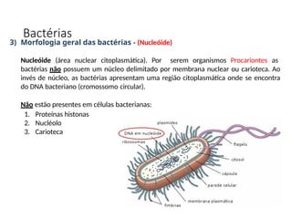 3) Morfologia geral das bactérias - (Nucleóide)
Nucleóide (área nuclear citoplasmática). Por serem organismos Procariontes as
bactérias não possuem um núcleo delimitado por membrana nuclear ou carioteca. Ao
invés de núcleo, as bactérias apresentam uma região citoplasmática onde se encontra
do DNA bacteriano (cromossomo circular).
Não estão presentes em células bacterianas:
1. Proteínas histonas
2. Nucléolo
3. Carioteca
Bactérias
 
