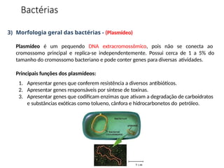 3) Morfologia geral das bactérias - (Plasmídeo)
Plasmídeo é um pequendo DNA extracromossômico, pois não se conecta ao
cromossomo principal e replica-se independentemente. Possui cerca de 1 a 5% do
tamanho do cromossomo bacteriano e pode conter genes para diversas atividades.
Principais funções dos plasmídeos:
1. Apresentar genes que conferem resistência a diversos antibióticos.
2. Apresentar genes responsáveis por síntese de toxinas.
3. Apresentar genes que codificam enzimas que ativam a degradação de carboidratos
e substâncias exóticas como tolueno, cânfora e hidrocarbonetos do petróleo.
Bactérias
 