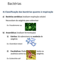 4) Classificação das bactérias quanto à respiração
a) Bactérias aeróbicas (realizam respiração celular)
Necessitam do oxigênio para sobreviver
Ex: Pseudomonas sp.
b) Anaeróbicas (realizam fermentação)
1) Estritas: Só sobrevivem na ausência de
oxigênio
Ex: Clostridium tetani
2) Facultativas: Podem sobreviver tanto na
ausência como na presença de oxigênio.
Ex: Escherichia coli
Bactérias
 