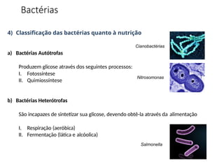 I. Fotossíntese
II. Quimiossíntese
4) Classificação das bactérias quanto à nutrição
Cianobactérias
a) Bactérias Autótrofas
Produzem glicose através dos seguintes processos:
Nitrosomonas
b) Bactérias Heterótrofas
São incapazes de sintetizar sua glicose, devendo obtê-la através da alimentação
I. Respiração (aeróbica)
II. Fermentação (lática e alcóolica)
Salmonella
Bactérias
 