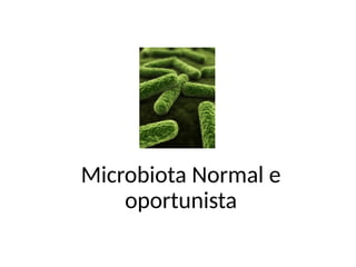 Microbiota Normal e
oportunista
 