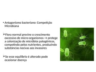 Flora normal e o hospedeiro
• Antagonismo bacteriano: Competição
Microbiana
Flora normal previne o crescimento
excessivo de micro-organismos → protege
a colonização de micróbios patogênicos,
competindo pelos nutrientes, produzindo
substâncias nocivas aos invasores
Se esse equilíbrio é alterado pode
ocasionar doença
 