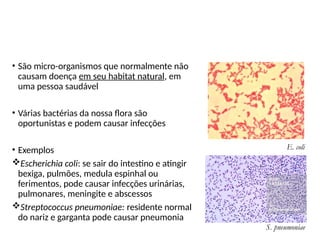 Micro-organismos oportunistas
• São micro-organismos que normalmente não
causam doença em seu habitat natural, em
uma pessoa saudável
• Várias bactérias da nossa flora são
oportunistas e podem causar infecções
• Exemplos
Escherichia coli: se sair do intestino e atingir
bexiga, pulmões, medula espinhal ou
ferimentos, pode causar infecções urinárias,
pulmonares, meningite e abscessos
Streptococcus pneumoniae: residente normal
do nariz e garganta pode causar pneumonia
E. coli
S. pneumoniae
 